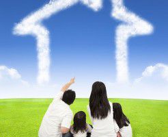 【購入体験談】ツバメが巣を作る家を買いました