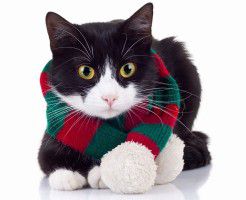 【購入体験談】相続の問題で古い家屋を売却して大阪から三重県へ引っ越しました