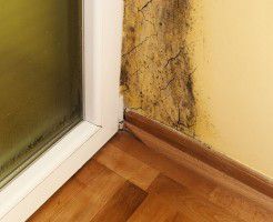 欠陥住宅を購入しないためには家を急いで決めないことが大切