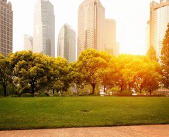 賃貸中のマンションを売却