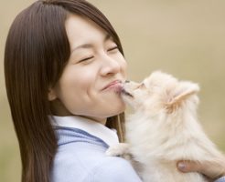 マンション売却ペット01